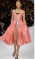 Dior Cruise 2014 – Peach&nbsp;dress